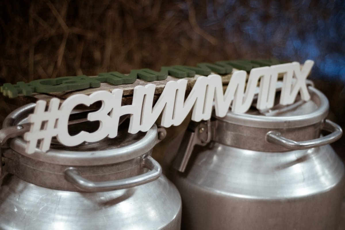 @vgmha Новость от 13-08-2020