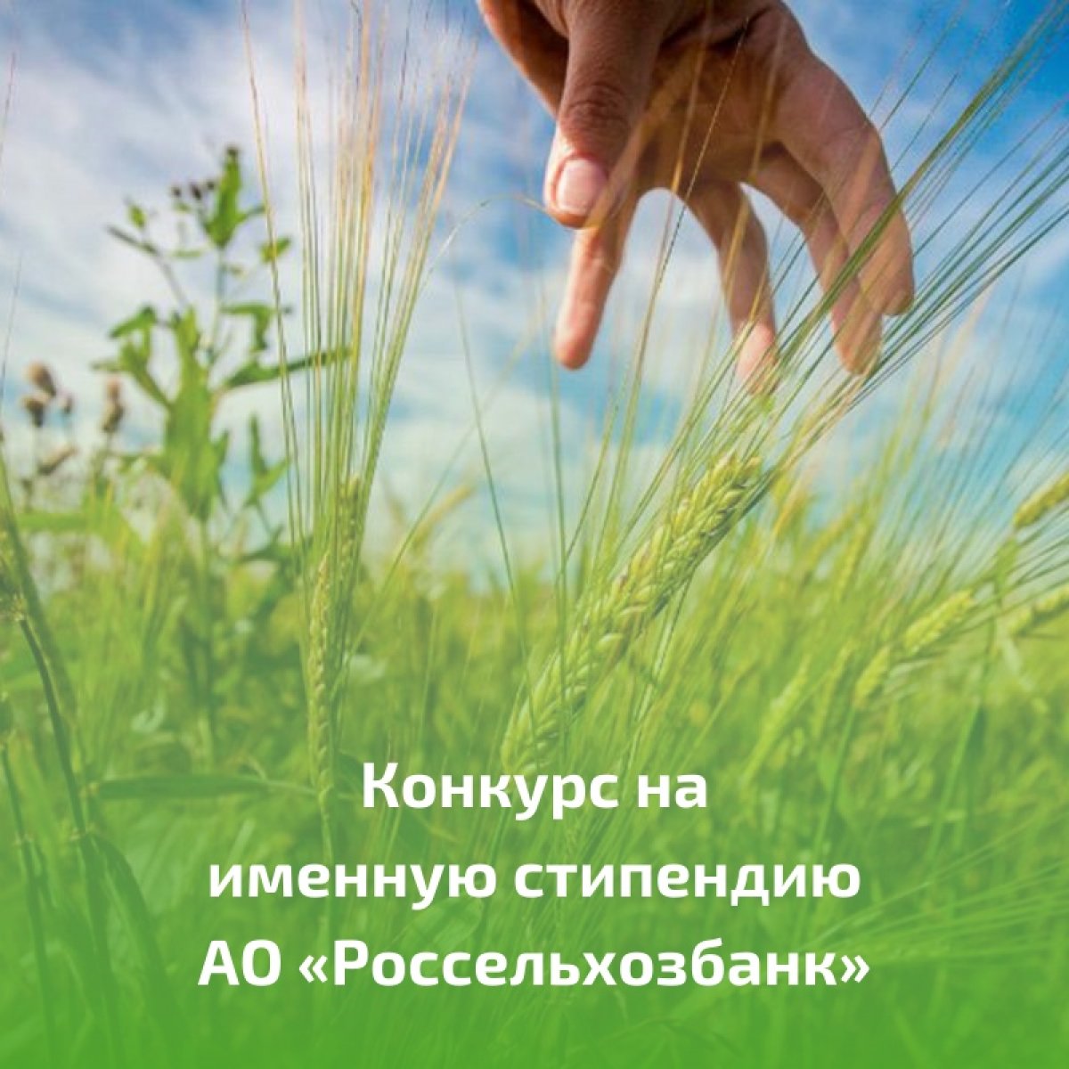 💸 Конкурс на именную стипендию АО «Россельхозбанк» 💸