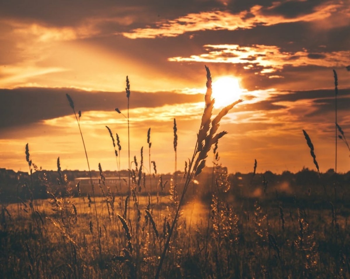 “Таити, Tаити... Не были мы ни в какой Таити! Нас и здесь неплохо кормят”