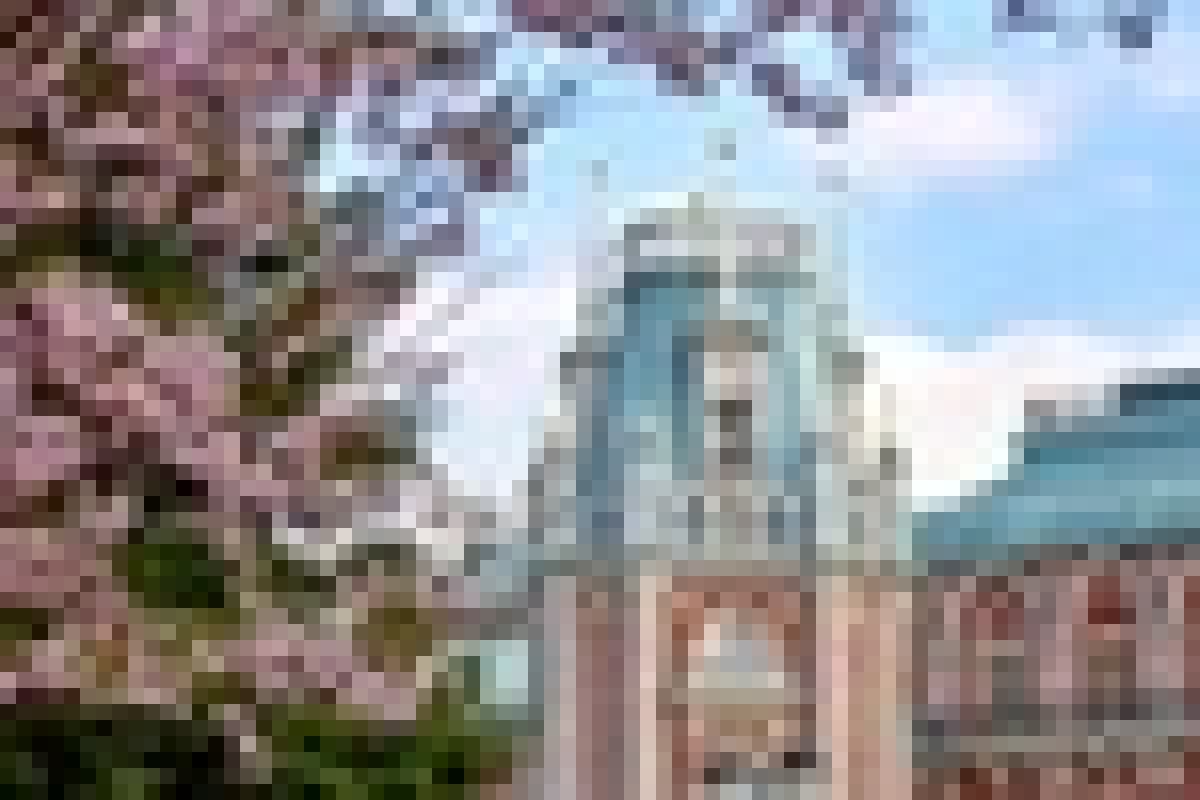 7 самых красивых мест в Москве, чтобы прогуляться в летний день