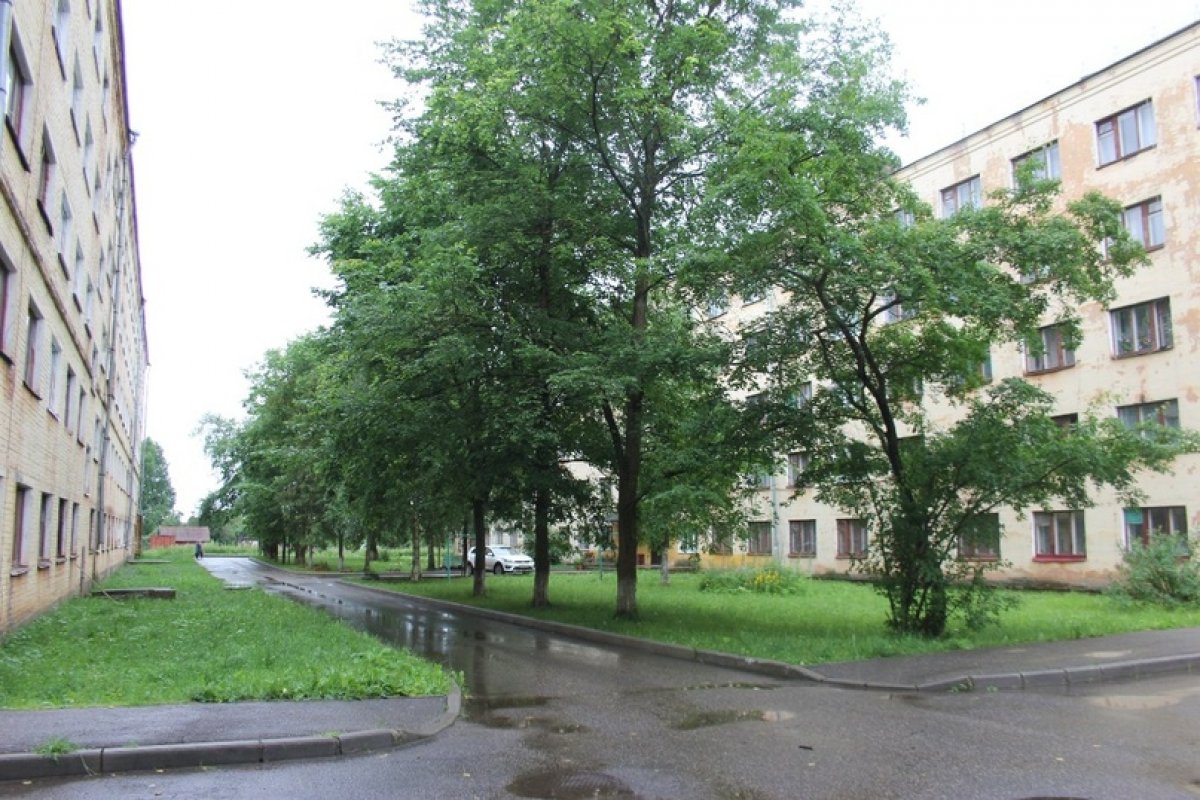 @vgmha Новость от 16-08-2020 @vgmha Новость от 16-08-2020