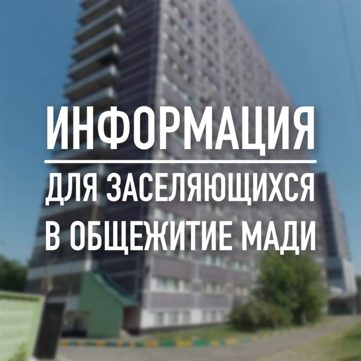 В этом году в МАДИ выделено 250 мест для первокурсников, поступивших на программы бакалавриата и специалитета