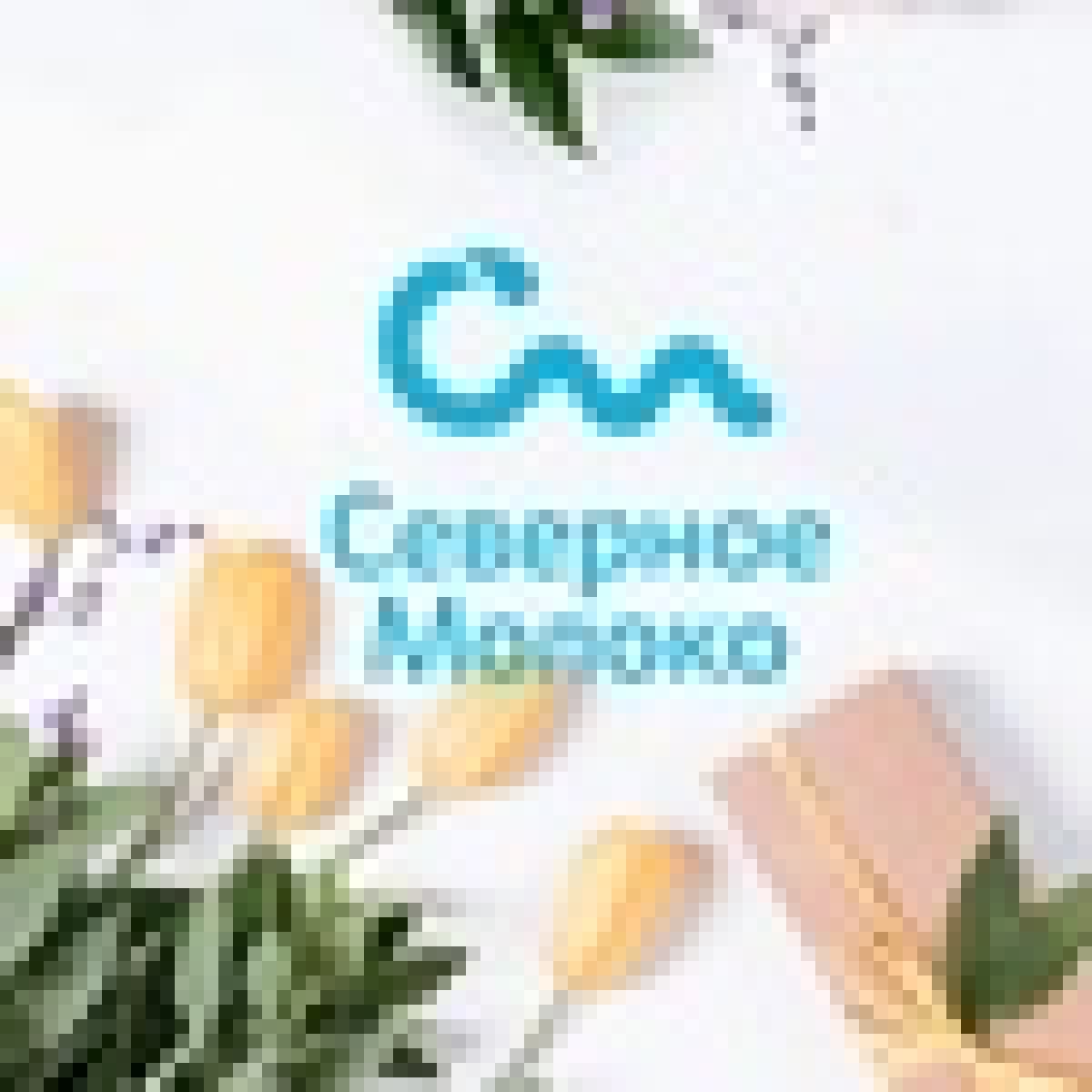 @vgmha Новость от 22-08-2020