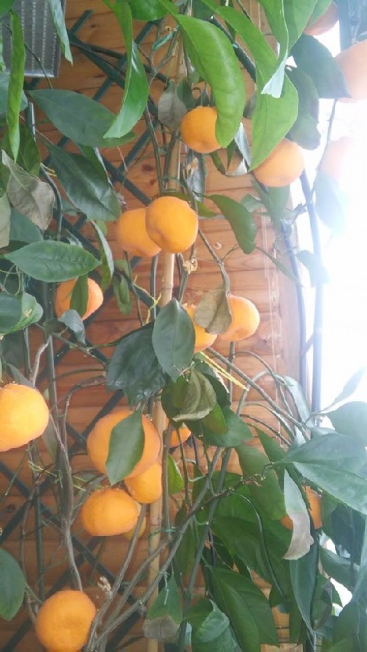 Мы запускаем мегапроект "Тот самый препод"🚀