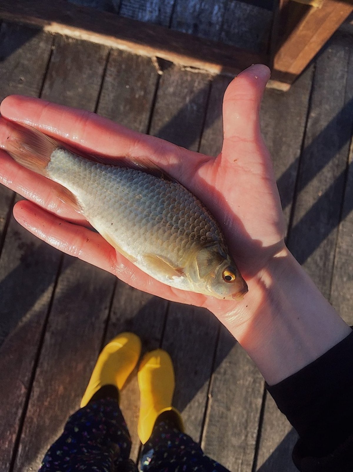 @vgmha Новость от 26-08-2020