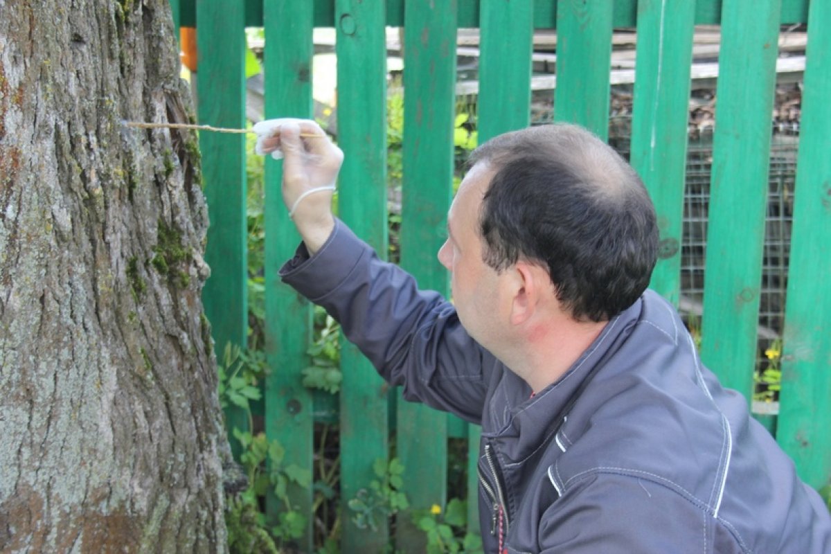 @vgmha Новость от 26-08-2020