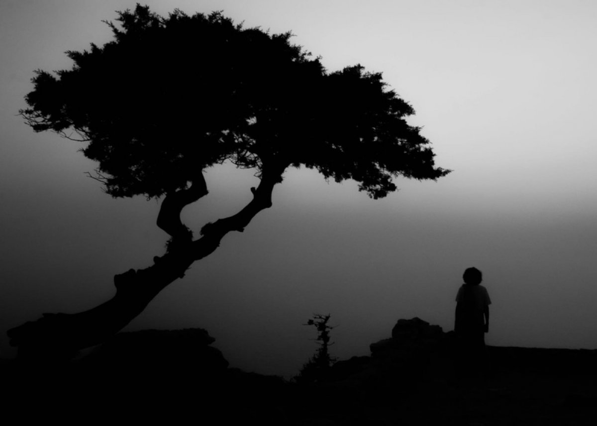 Топ-5 полезных приложений, которые помогут упростить ежедневные задачи