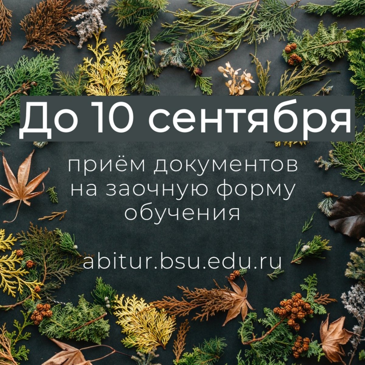 🚀 Ровно неделя до конца приёма на заочную форму обучения @beluniversity