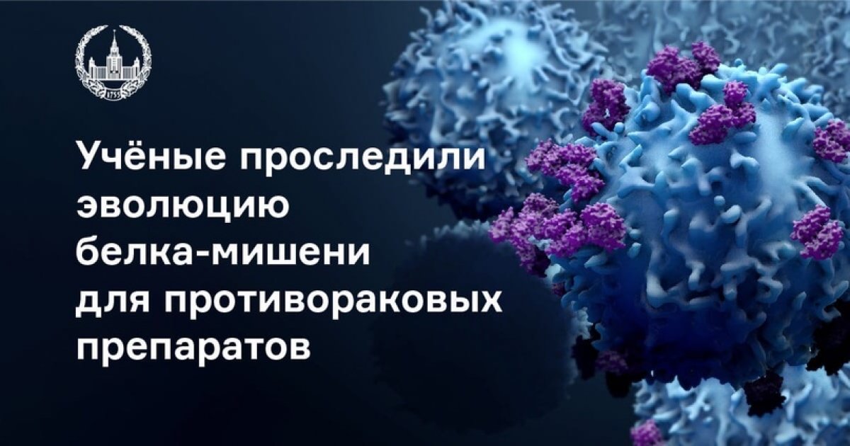 Ученые МГУ со своими коллегами проследили эволюцию белка-мишени для противораковых препаратов