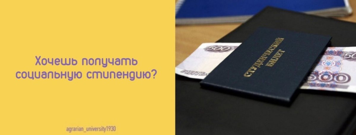 Хочешь получать социальную стипендию, тогда срочно читай этот пост!