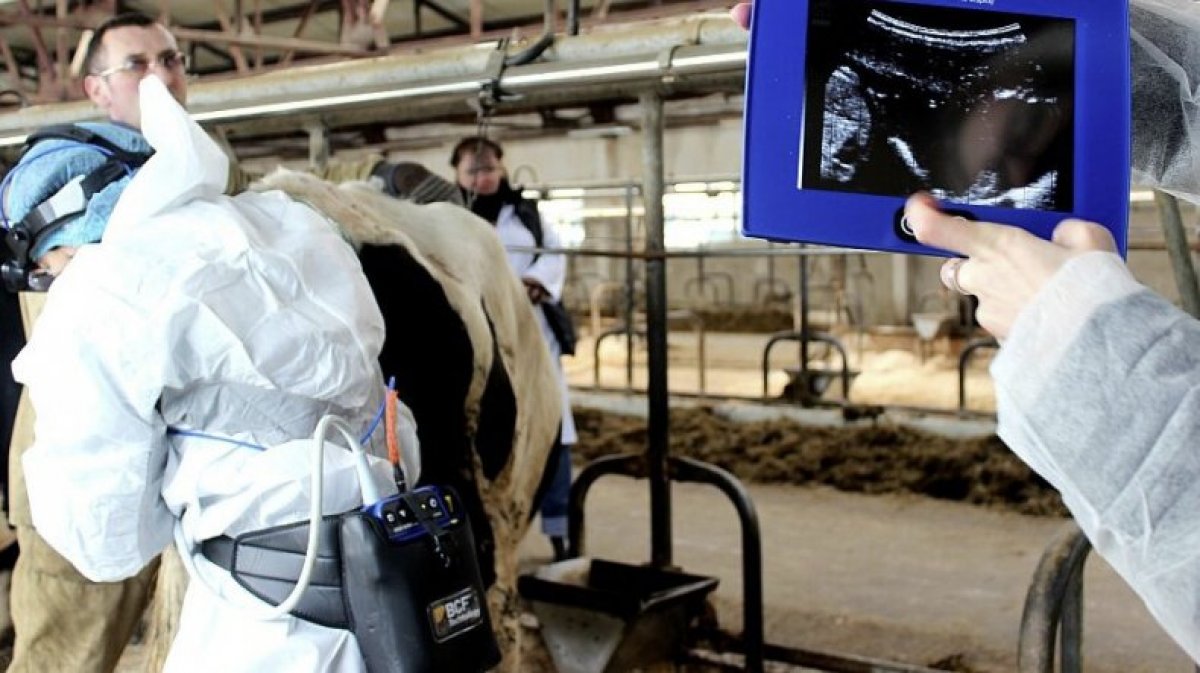 @vgmha Новость от 10-09-2020 @vgmha Новость от 10-09-2020