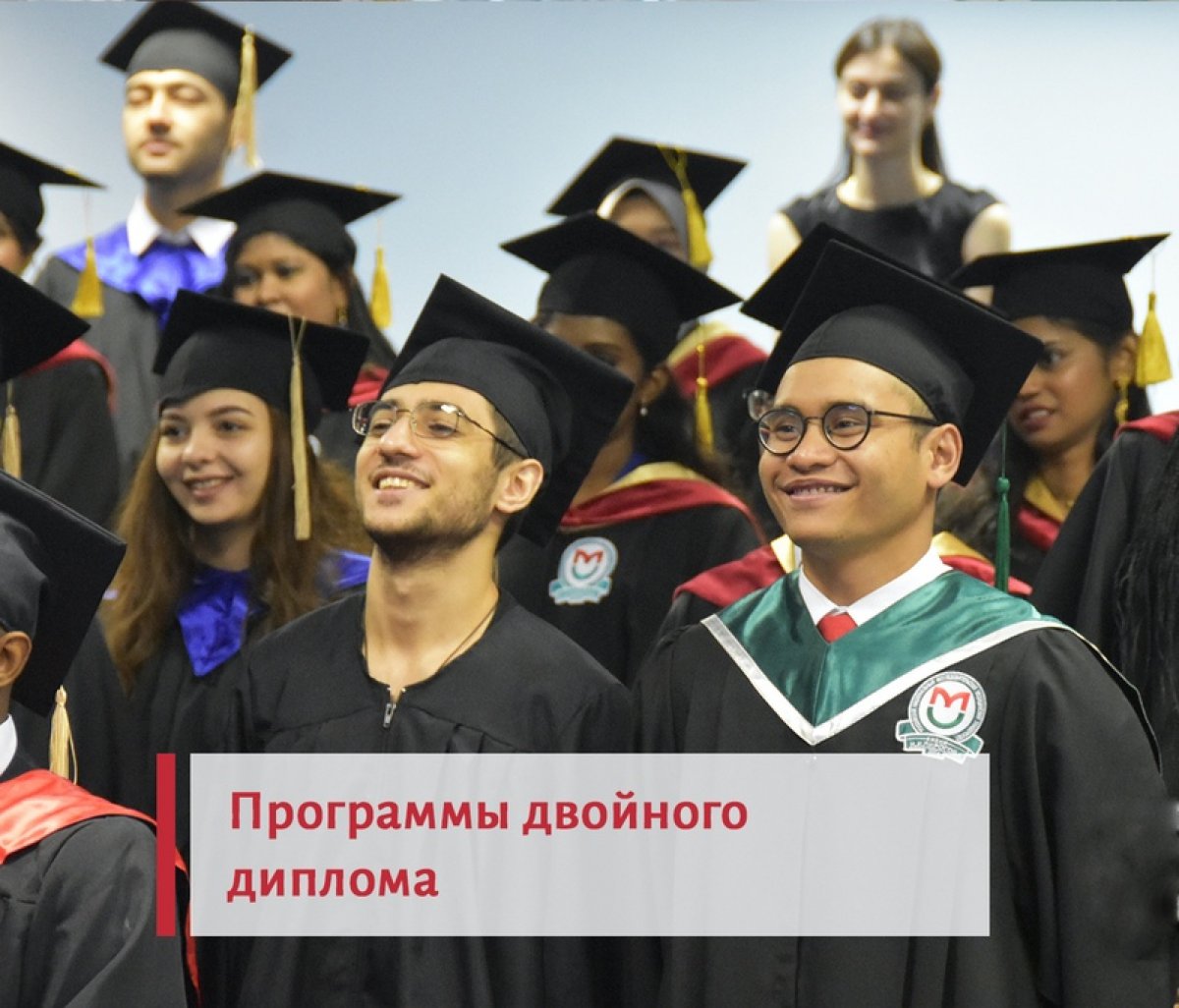 🎓 Программы двойного диплома