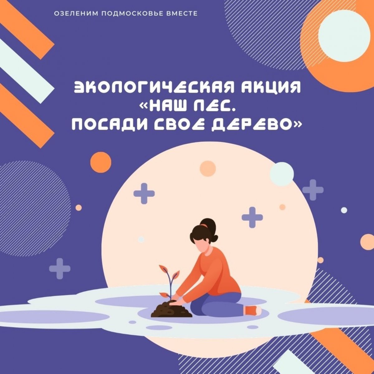 | «Наш лес. Посади свое дерево» | «Наш лес. Посади свое дерево»