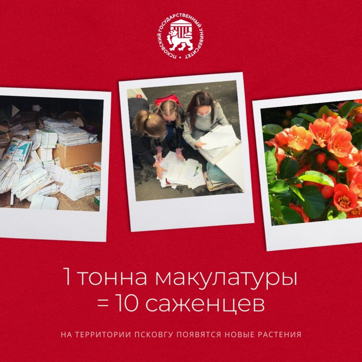 📘➡🌱➡🌳 Новость от 19-09-2020