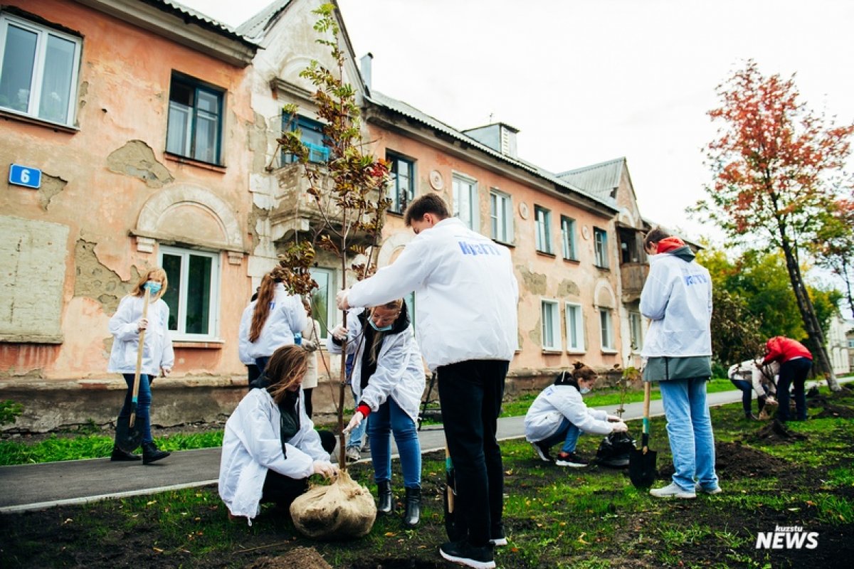 🌳 Студенты посадили 33 саженца в рамках областной акции «Мой зеленый двор»