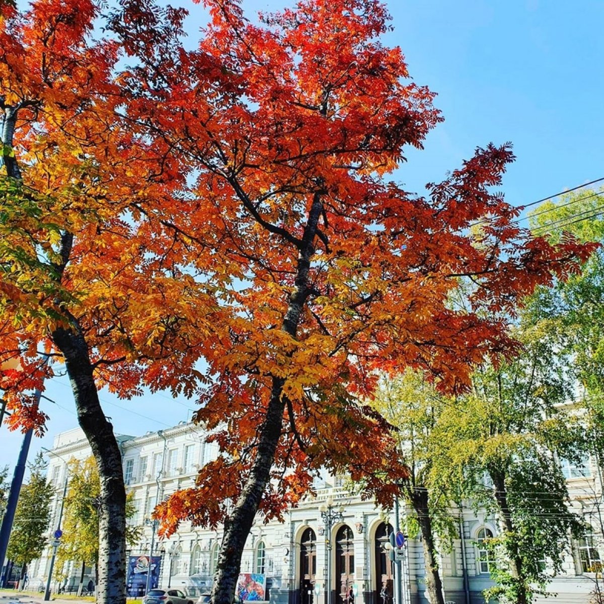 🍁 А с какого ракурса смотрите на Томский политех вы?