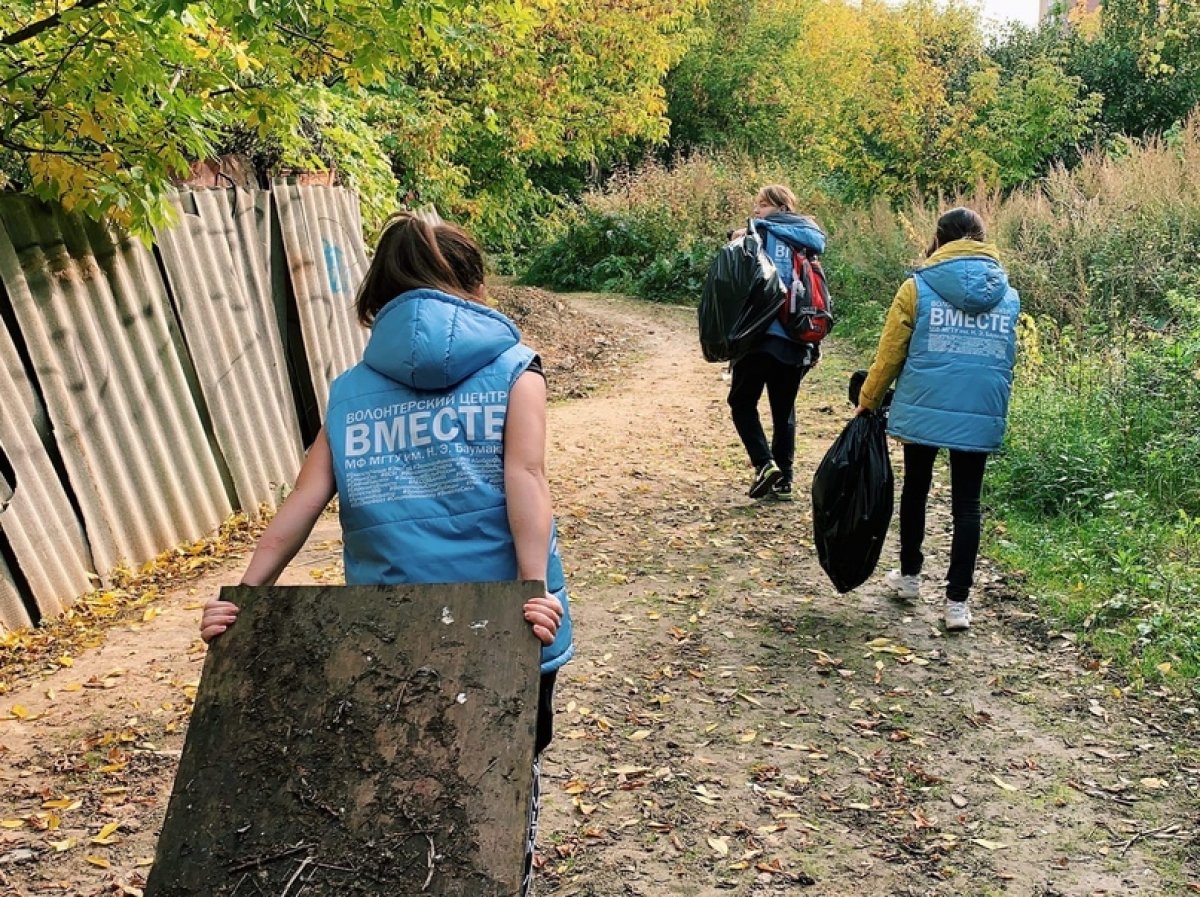 🌱 26 сентября 2020 года вместе с волонтёрским движением «Чистый Лес = Чистое сознание»