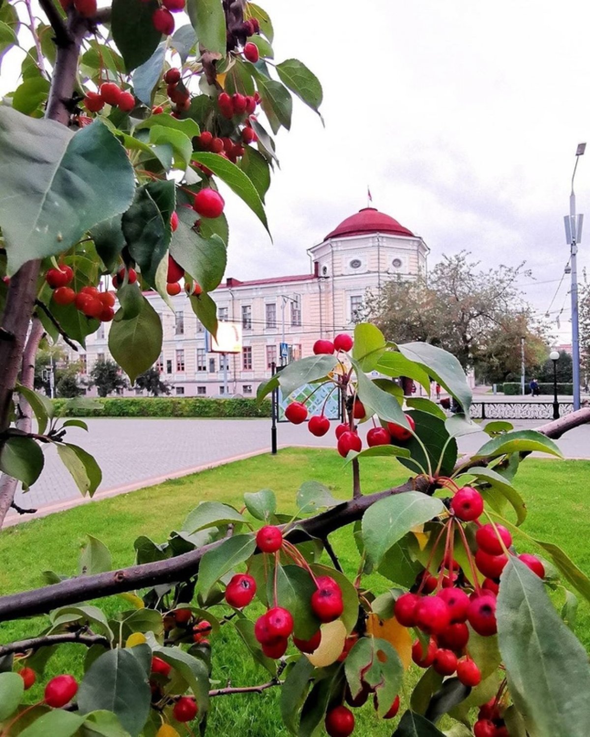 📌 Определены победители конкурса на повышенную государственную академическую стипендию в осеннем семестре за достижения в учебной, научной, общественной, культурно-творческой и, конечно же, в спортивной деятельности!👏