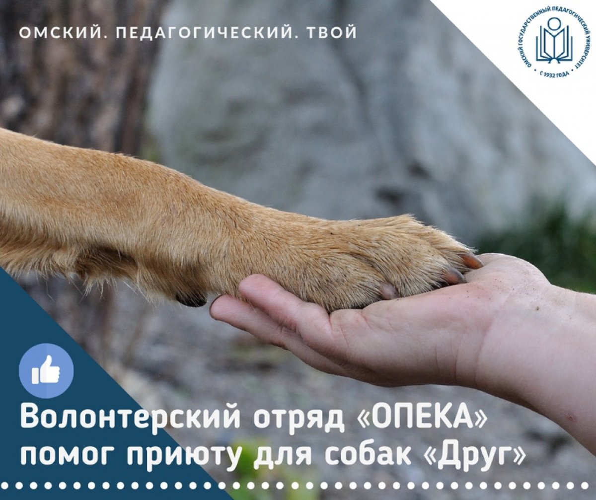 27 сентября волонтерский отряд филологического факультета «ОПЕКА» посетил приют для собак «Друг»