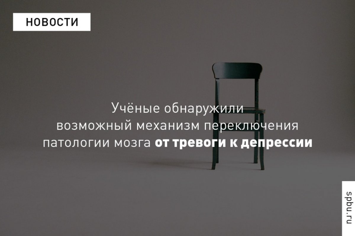 Примерно у 70% людей с хронической тревожностью это заболевание при продолжающемся стрессе может переходить в депрессию