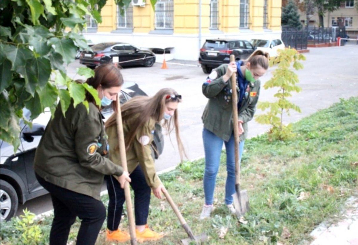 🌱 Студенты СГУ приняли участие в проекте «Кедры России»