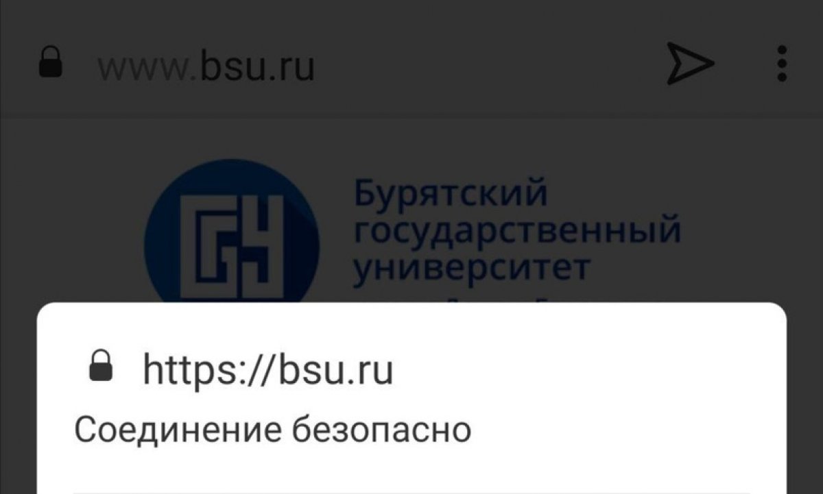 Сегодня сайт БГУ www.bsu.ru с протокола http:// был переведён на более защищённый протокол https://