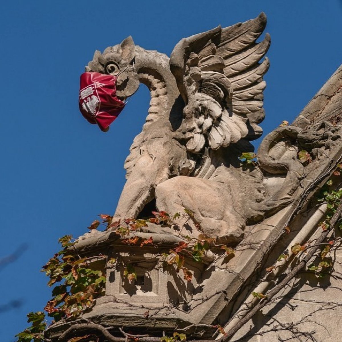 В Кембридже и Чикагском университете, в Томском политехе — все носят маски 😷