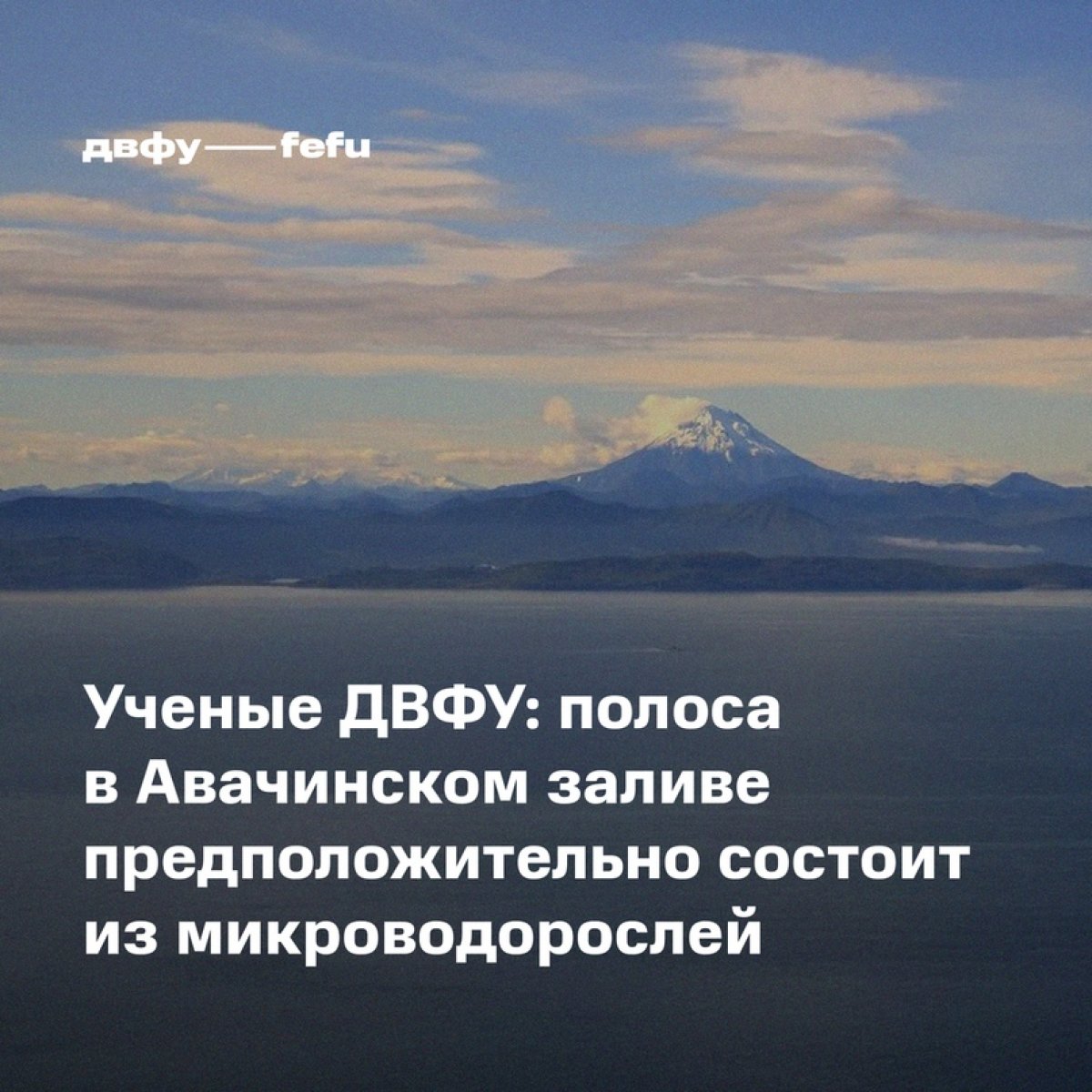 Полоса необычного цвета, обнаруженная учеными ДВФУ при облете Авачинского залива на вертолете, вызвана цветением микроводорослей. Такие предварительные выводы сделаны после анализа первых полученных образцов.