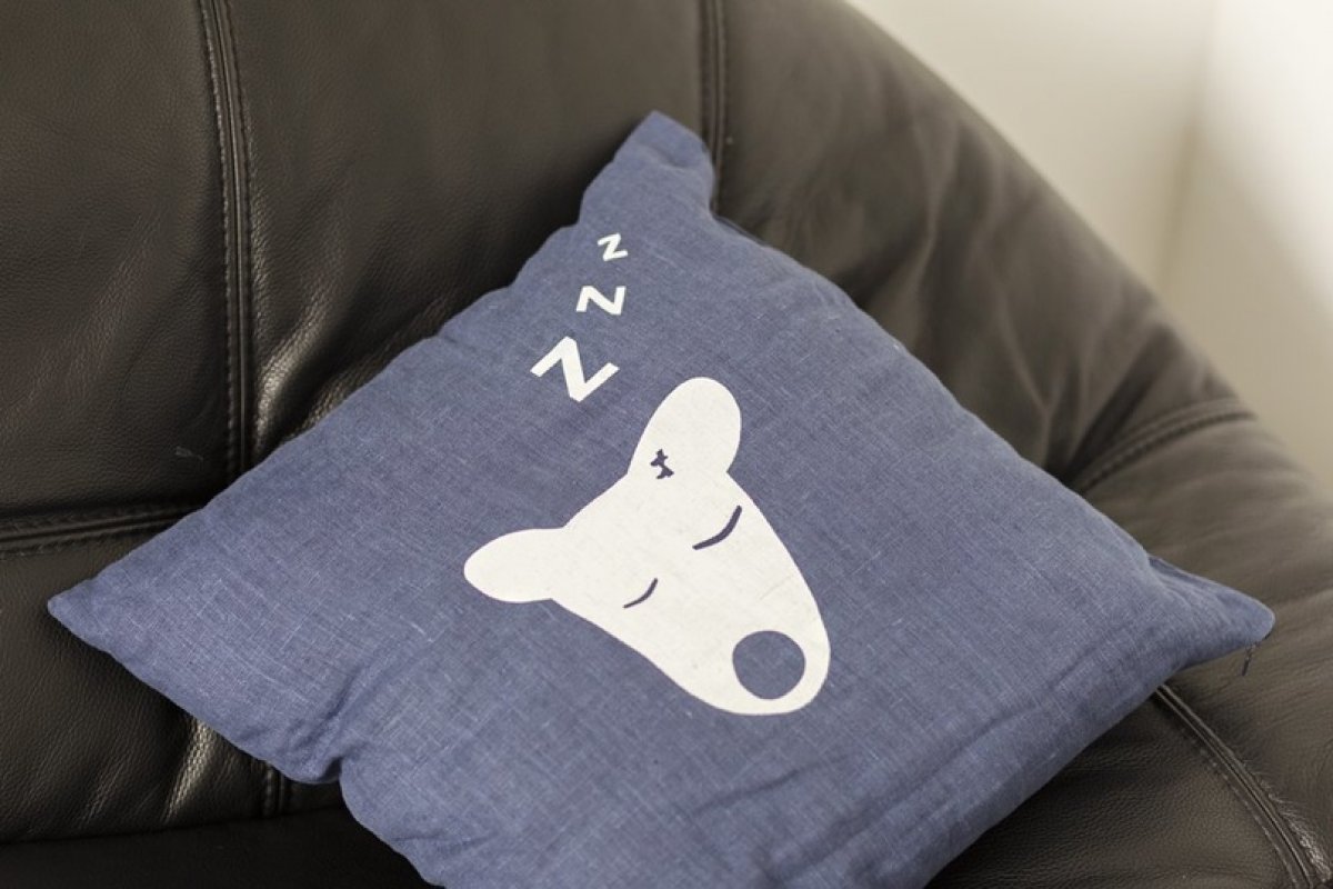 А вы знаете, что сегодня - день рождения VK?