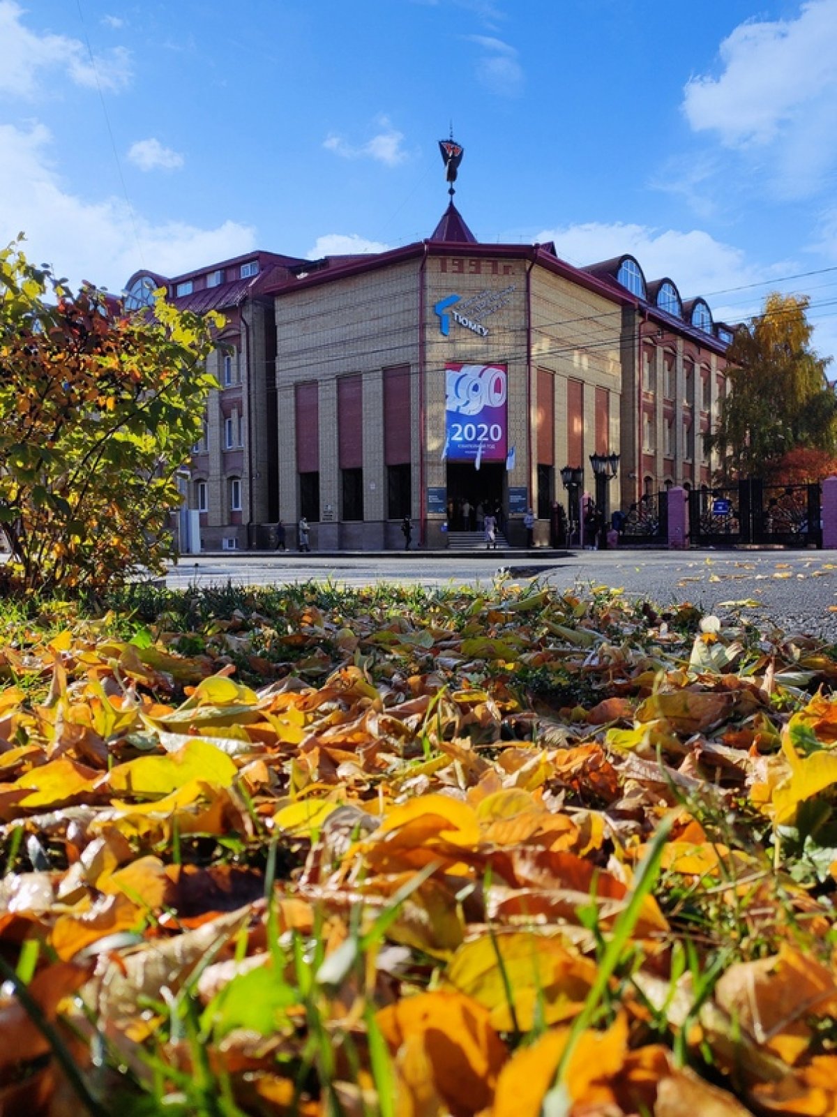 Было сложно, но мы всё же подвели итоги осеннего розыгрыша стикерпаков🍂