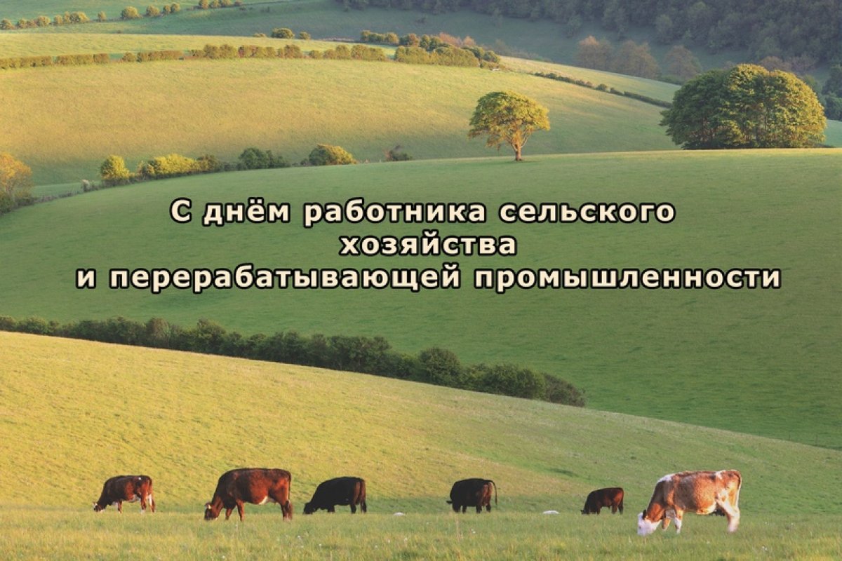 Сегодня, 11 октября в России отмечают день работников сельского хозяйства и перерабатывающей промышленности.