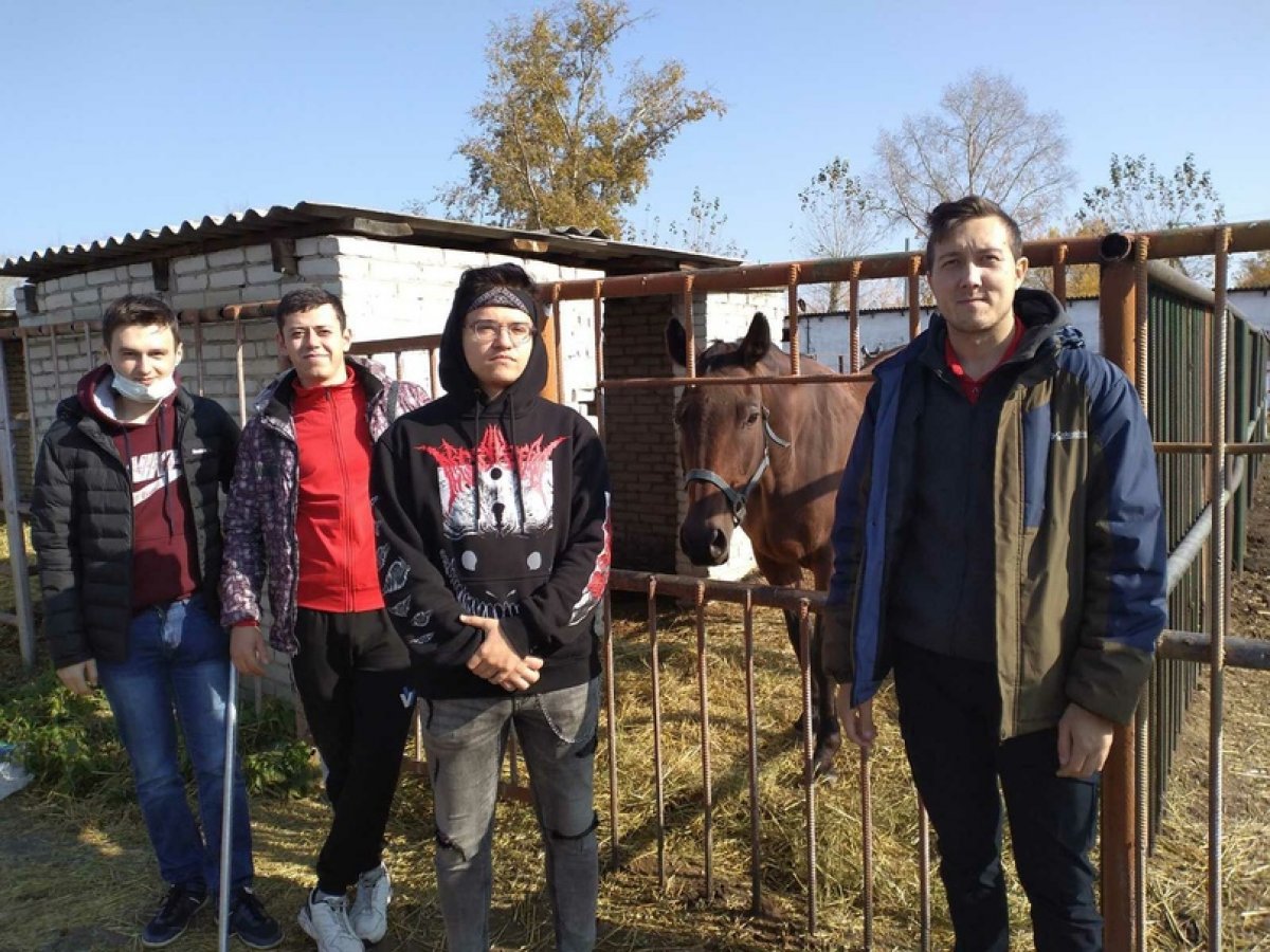 🔥СТУДЕНТЫ НА ПРАКТИЧЕСКОМ ЗАНЯТИИ ИЗУЧИЛИ ЭКСТЕРЬЕР И КОНСТИТУЦИЮ ЛОШАДЕЙ🐎