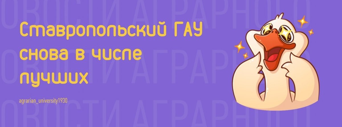 СтГАУ вновь в победителях Всероссийского смотр-конкурса на лучшую постановку работы по развитию физической культуры и спорта в вузах Минсельхоза России!😱