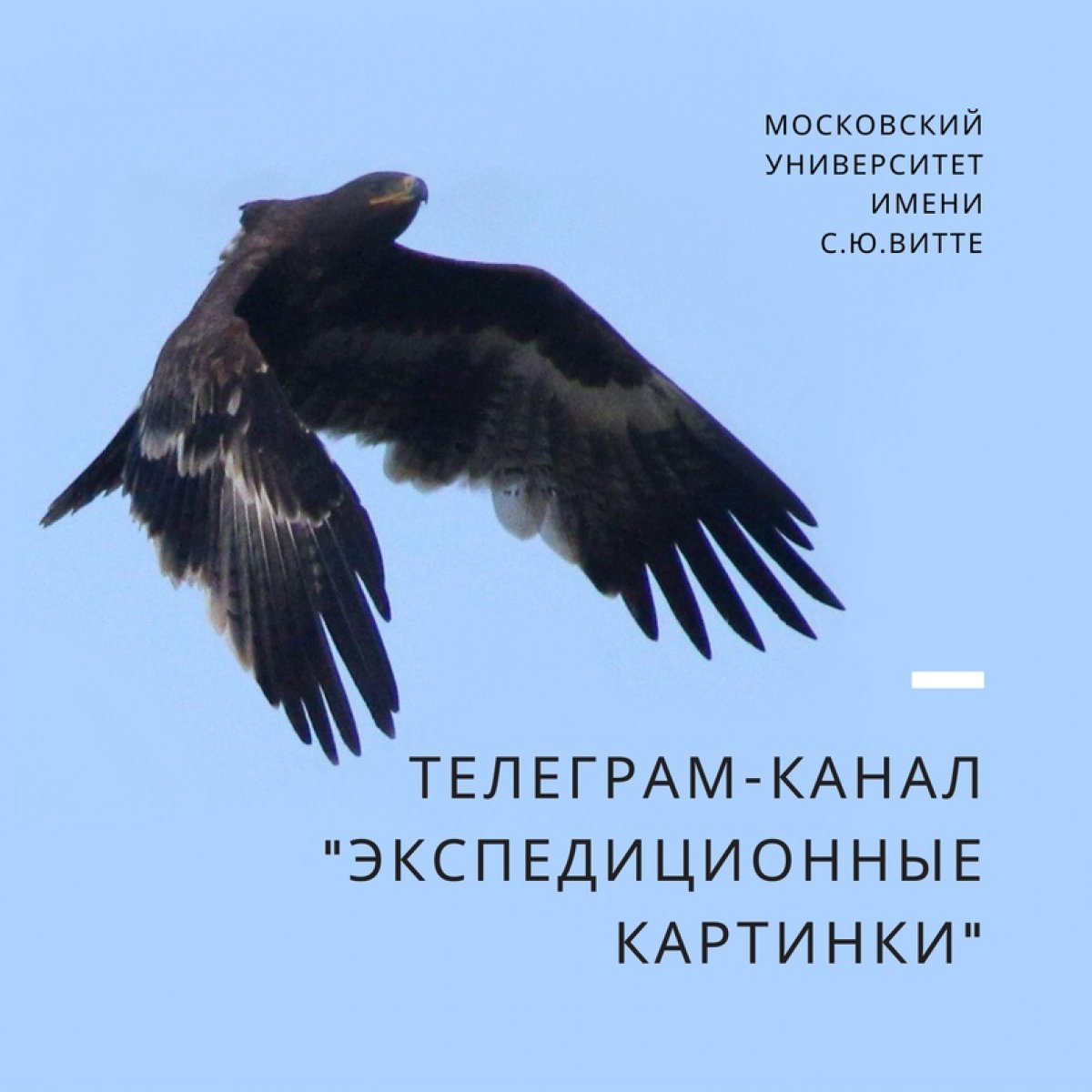 Сегодня делимся наверное самым необычным telegram-каналом "Экспедиционные картинки" о буднях настоящего полевого орнитолога, экспедициях по России, в Казахстан и Монголию
