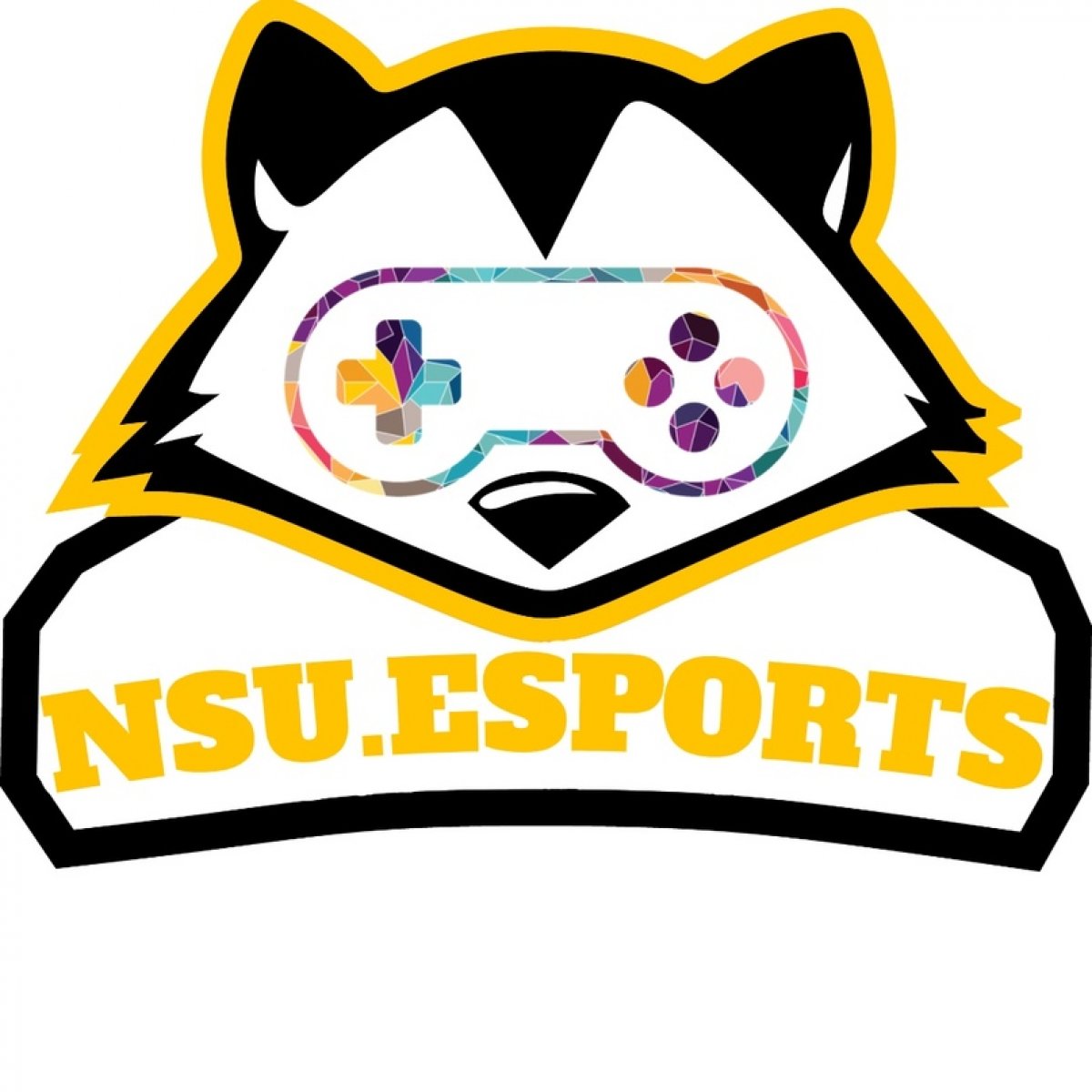 Недавно мы рассказывали вам о нашем киберспортивном сообществе NSU.ESPORTS. Ребята собрали свою команду не так давно, но уже активно участвуют в киберспортивных турнирах