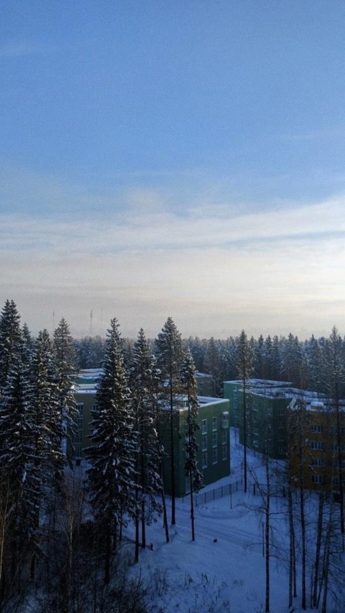 Наш студенческий городок летом🌿 и зимой❄