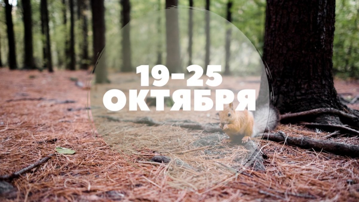 📍19 Новость от 19-10-2020