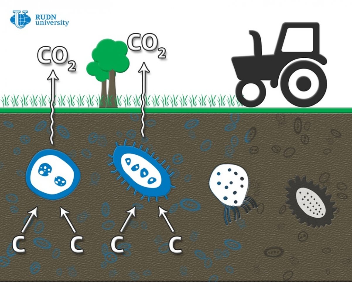 Почвоведы РУДН разработали новый метод оценки качества почвы 🌱🔬