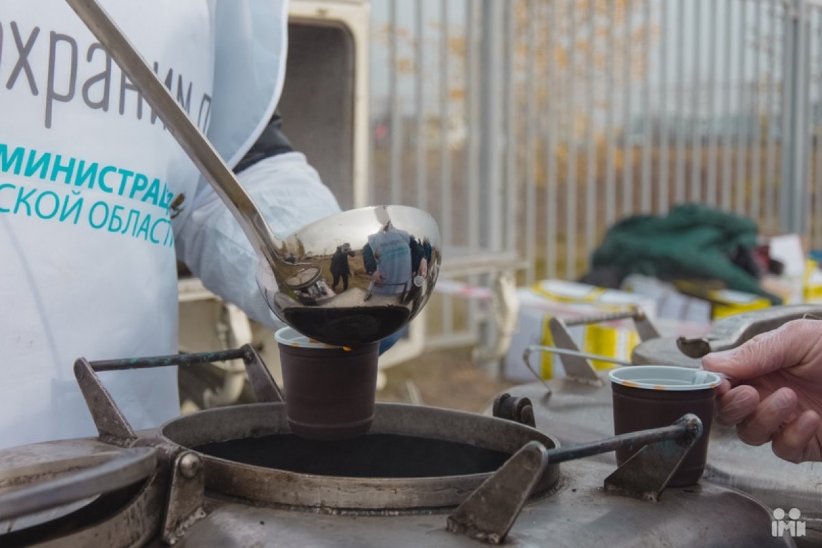 Активисты ЮЗГУ приняли участие в посадке молодого леса