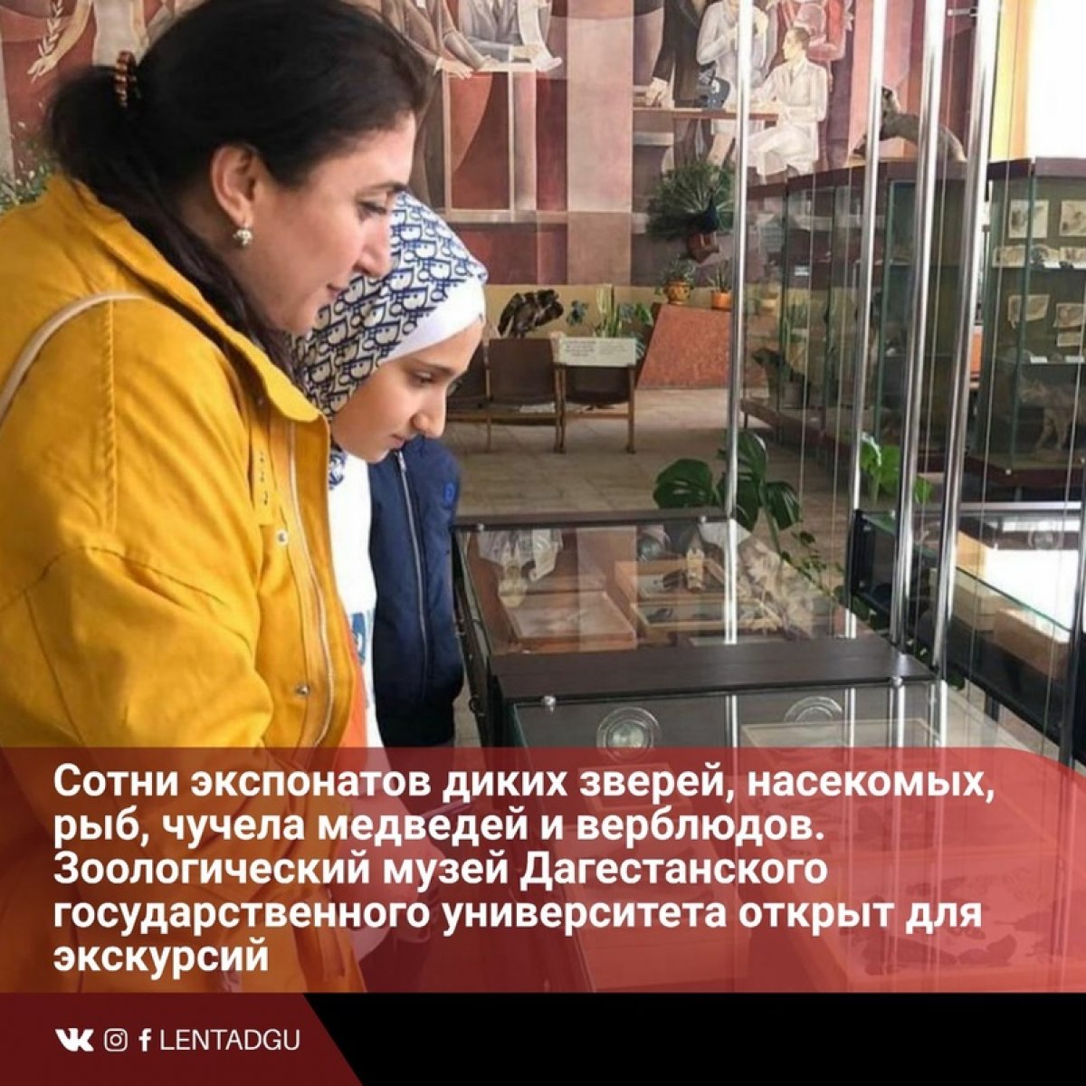 Сотни экспонатов диких зверей