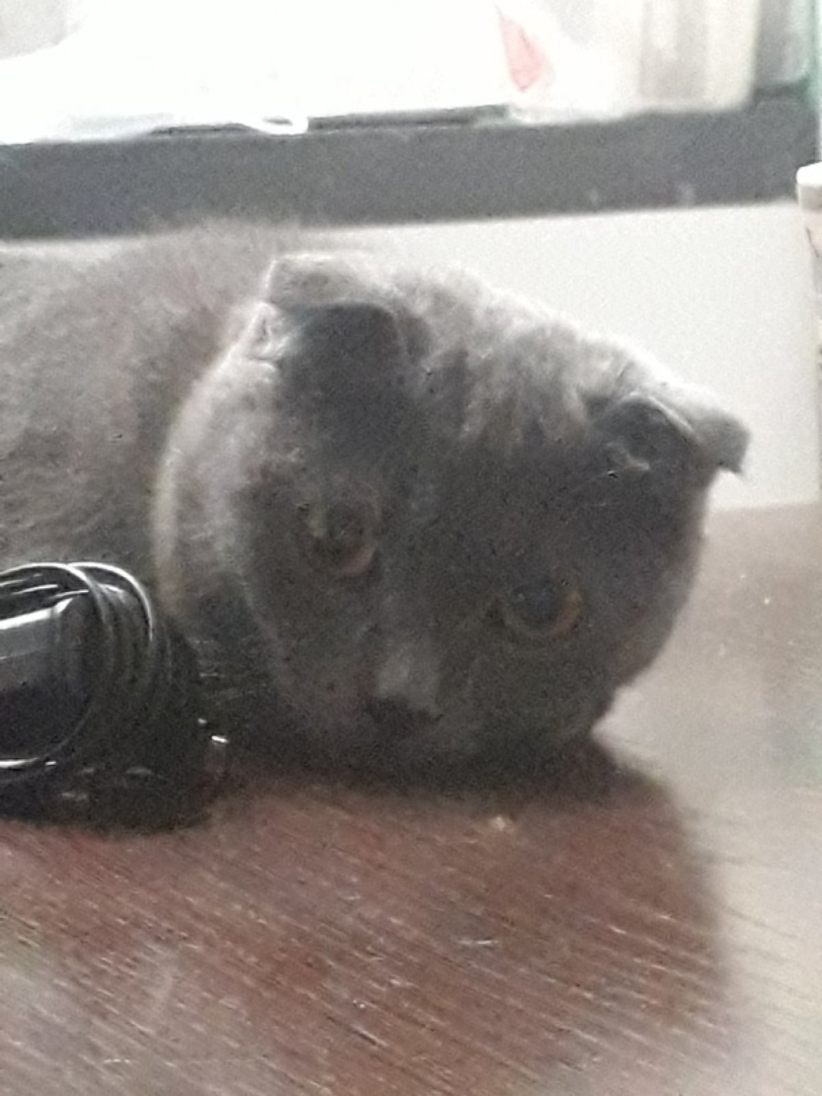 ОТДАЮ И ПРОДАЮ 3 часть