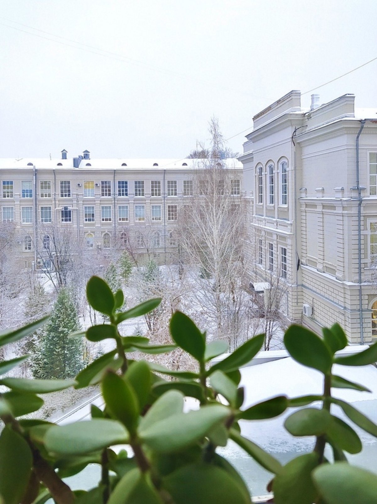 Зима, кажется, полный вперёд