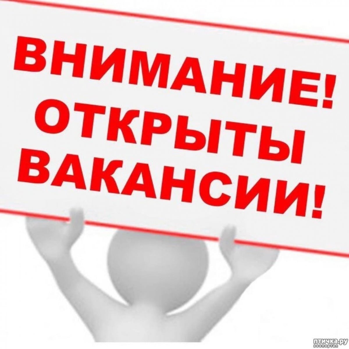 Друзья, на сайте нашего университета обновилась информация о вакансиях.