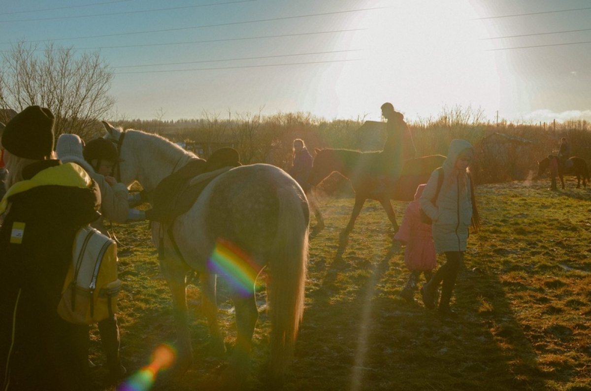 Профком ❤️ животных!