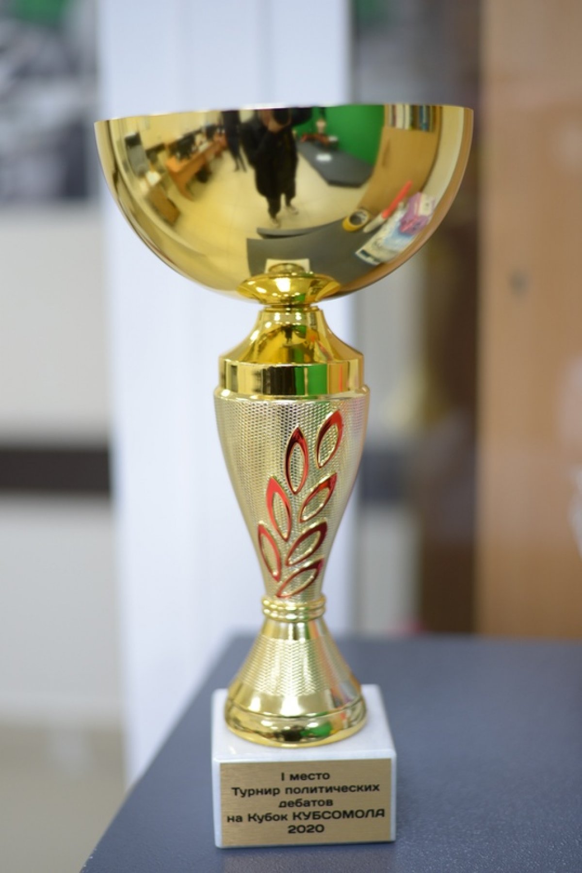 ТУРНИР ПОЛИТИЧЕСКИХ ДЕБАТОВ