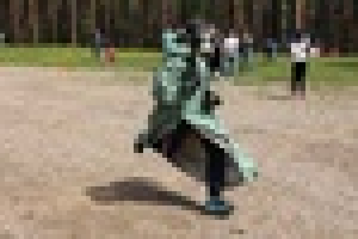 ‼‼‼‼‼‼‼‼ Новость от 11-11-2020