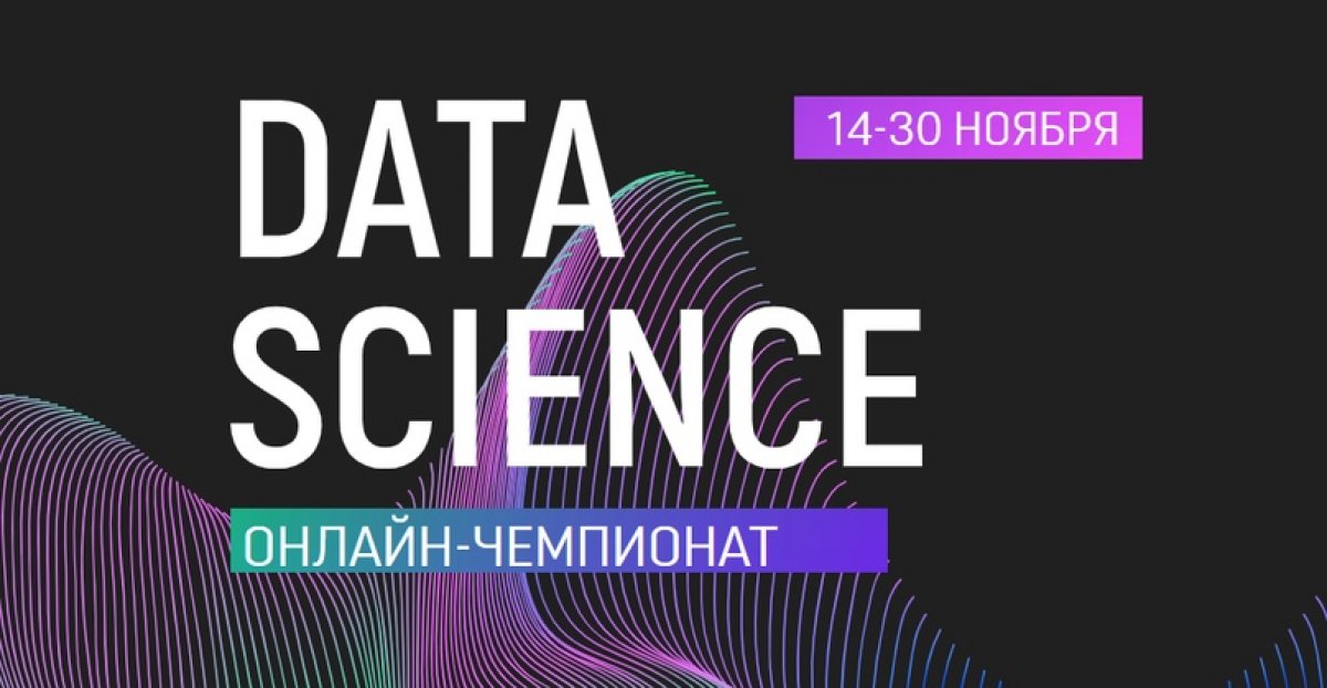 В ноябре в рамках командного образовательного интенсива «Архипелаг 20.35» пройдёт онлайн-чемпионат по Data Science