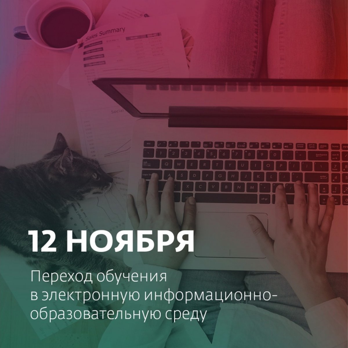 Уважаемые студенты и работники университета!