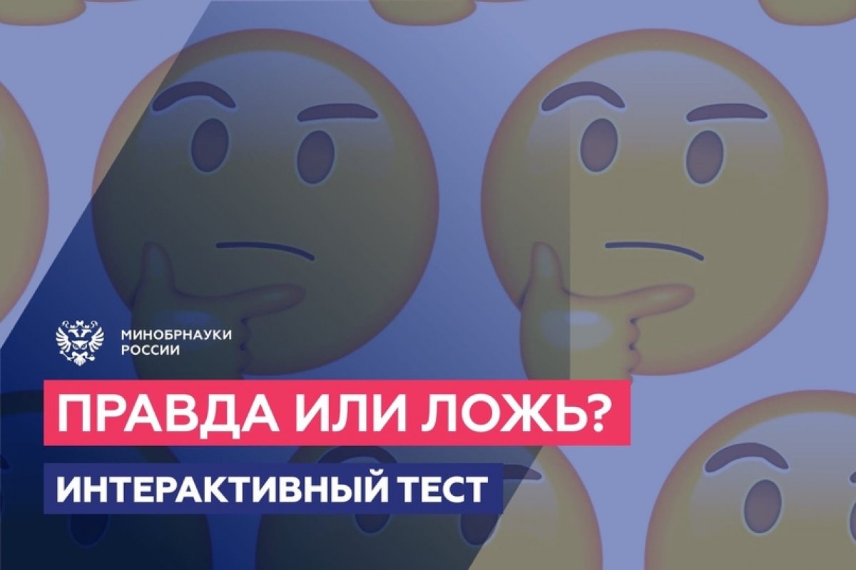 🤔 7 фактов ❗️ Сможете распознать, где правда ✅ а где — ложь❓