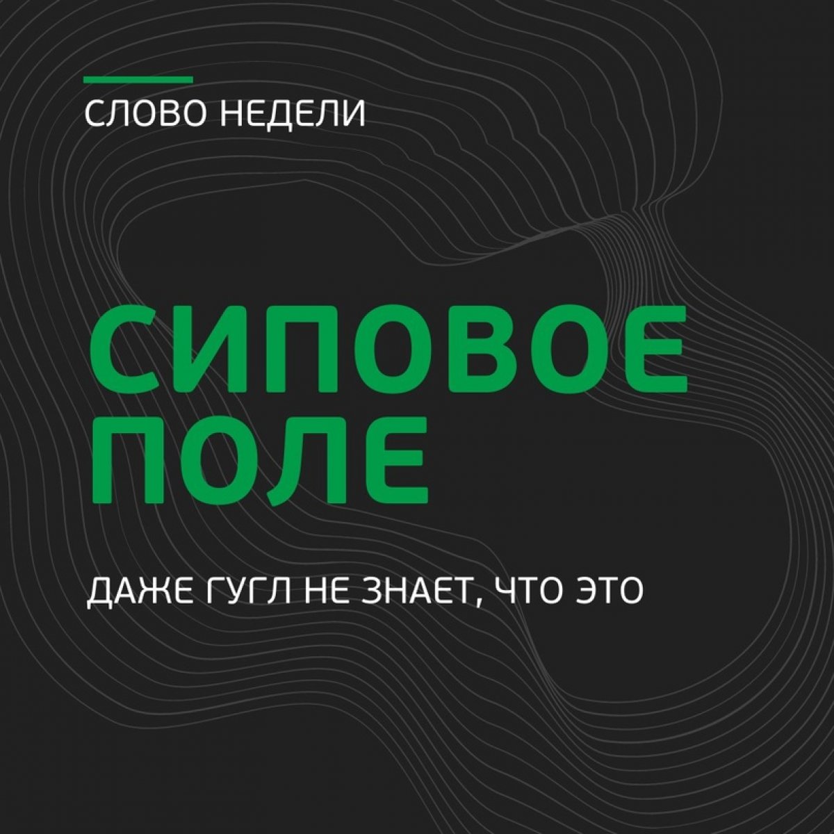 🌊 Сиповые поля — районы массированной разгрузки пузырькового метана с линейными размерами более сотни метров